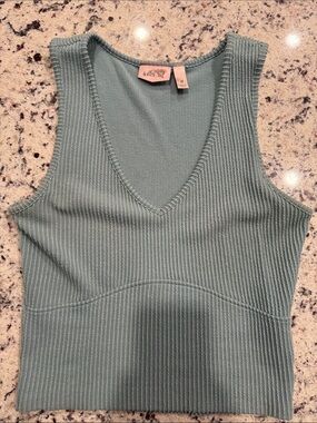 Willow Ribbed V-Neck Tank Top in Sage Green